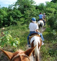 Horseback riding at its best!