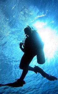 Cozumel Resort SCUBA diving