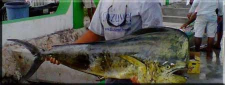 Deep Sea Fishing