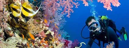 Cozumel SCUBA