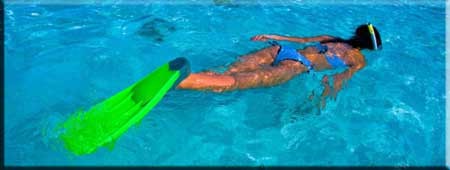Snorkeling