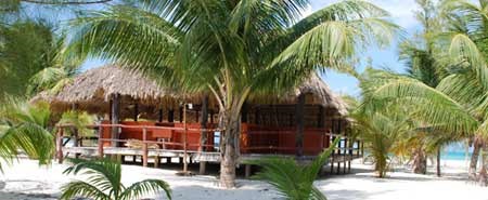 Passion Island Cozumel