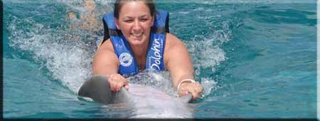 Swim with Dolphins
