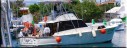 Deep Sea Fishing
