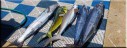 Deep Sea Fishing