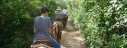 Cozumel by horseback